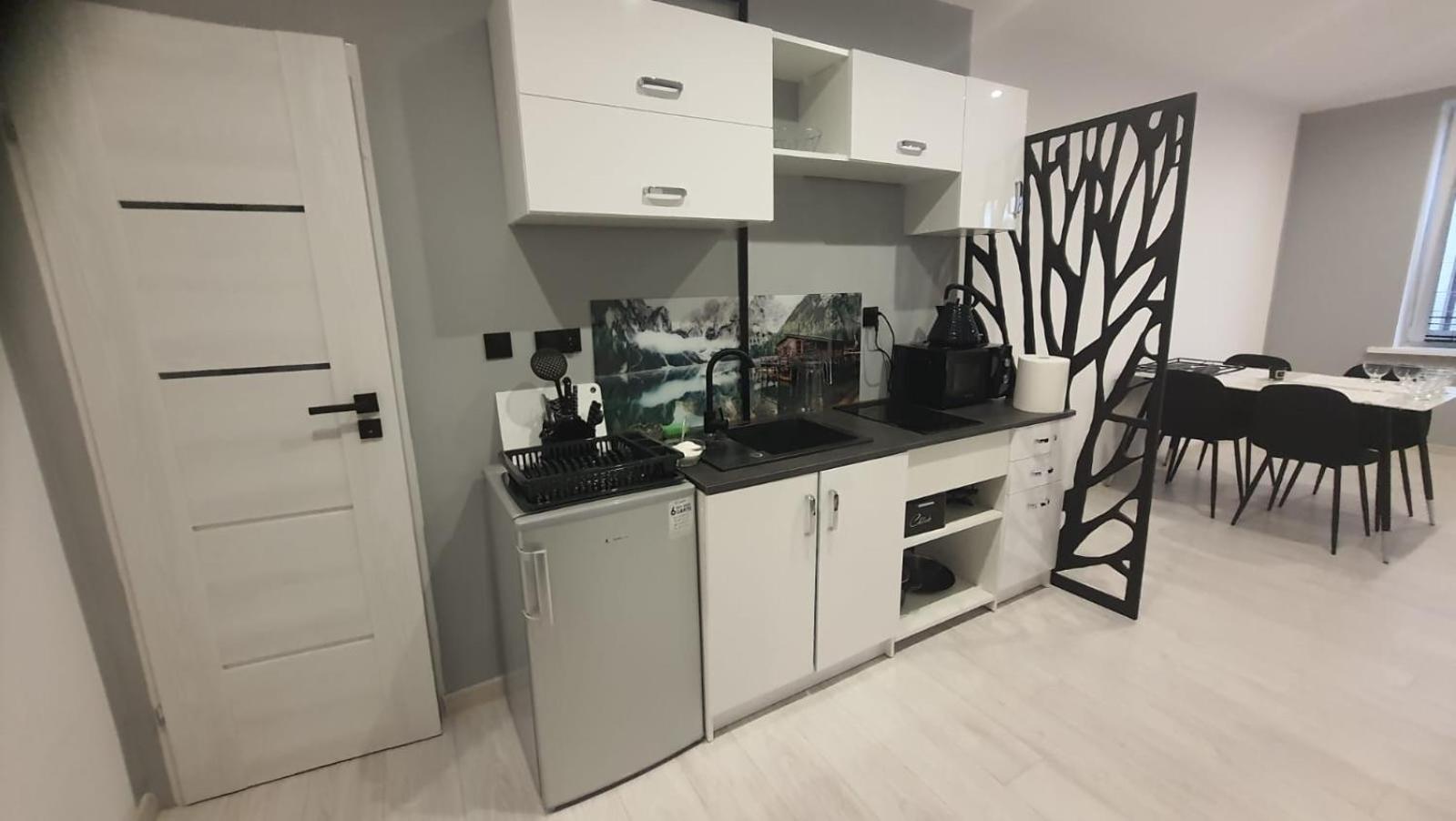 Komfortowy Apartament U Baltazara 두슈니키 즈드로지 외부 사진